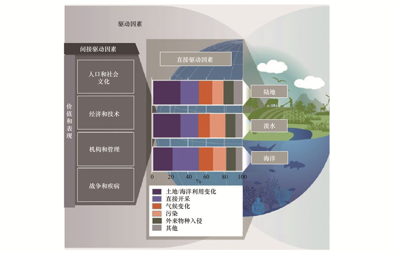 贝伐珠单抗可以报销吗_贝伐珠单抗肿瘤治疗的机理_贝伐珠单抗治疗肺腺癌