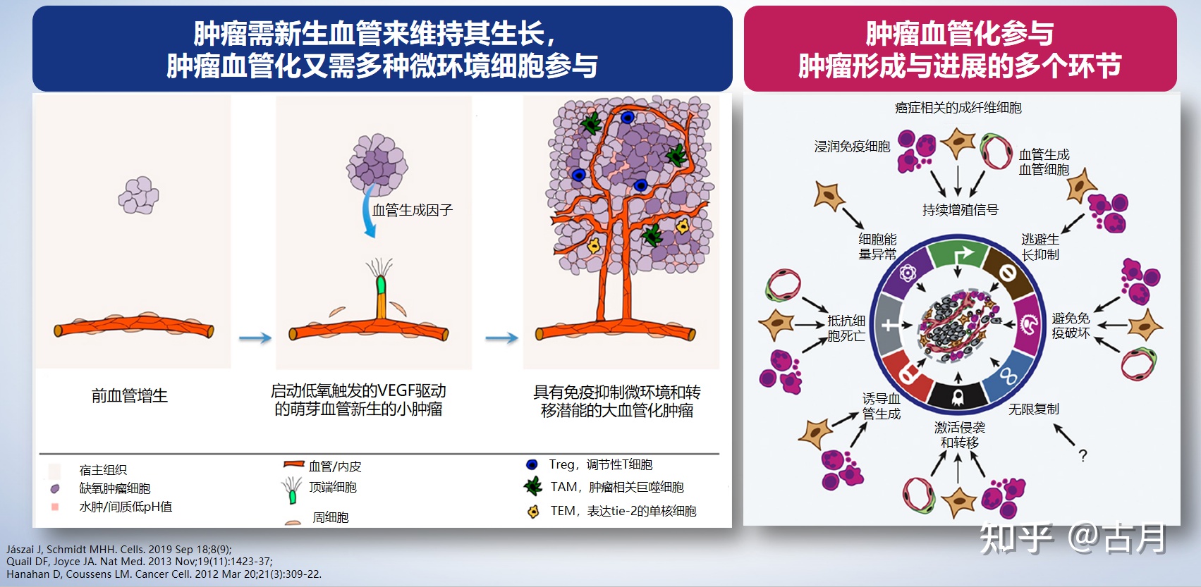 索拉非尼联合用药_索拉非尼印度版 图片_索拉非尼 舒尼替尼