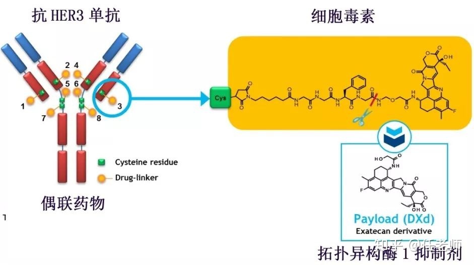 奥希替尼一线用药耐药后怎么办_一线用药都有什么药_药品目录一线用药