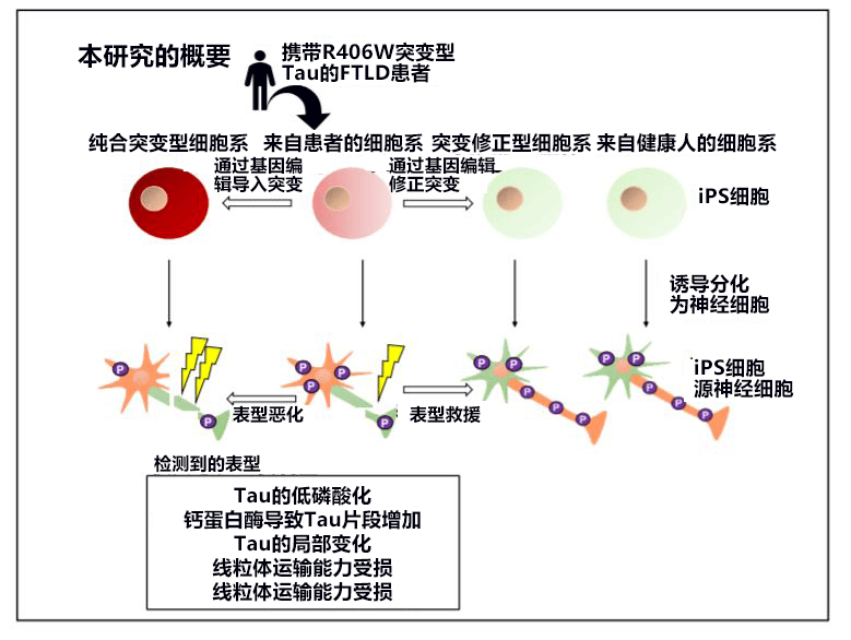 贝伐珠单抗可以报销吗_贝伐单抗治疗铂耐药的有效果_贝伐单抗印度版