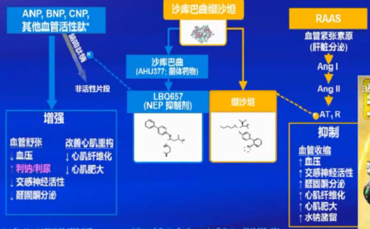 贝伐单抗用多久耐药_贝伐珠单抗六个月耐药_贝伐珠单抗靶向是啥