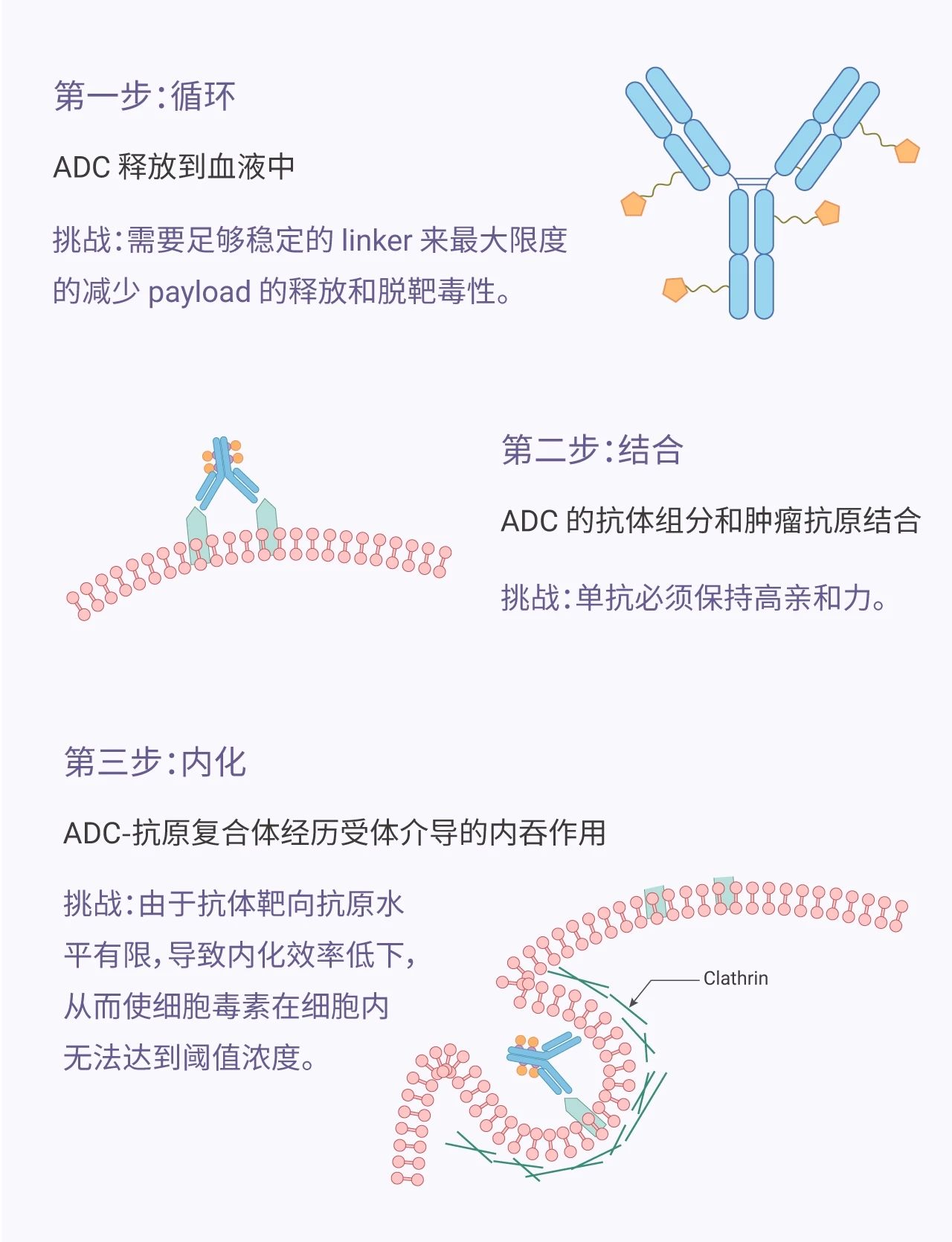 特罗凯联合贝伐单抗肾癌_贝伐珠单抗说明书_贝伐单抗-阿瓦斯汀大陆卖多少钱?