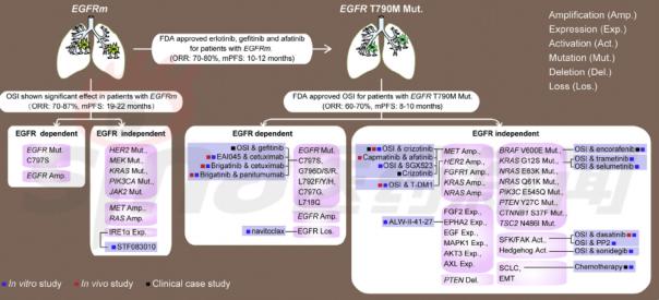 奥希替尼9291哪里买_azd 9291 奥希替尼_奥希替尼19外显子缺失可用吗