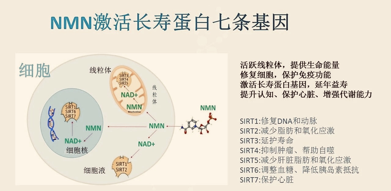 贝伐珠单抗靶向是啥_西妥昔单抗贝伐单抗_无基因突变贝伐单抗