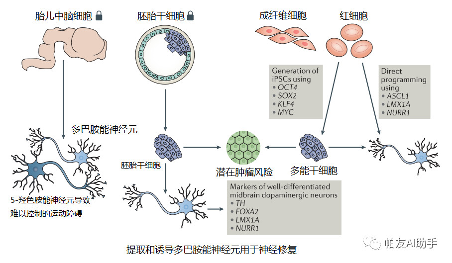 贝伐单抗和恩度对比_贝伐珠单抗价格_贝伐珠单抗多少钱一支