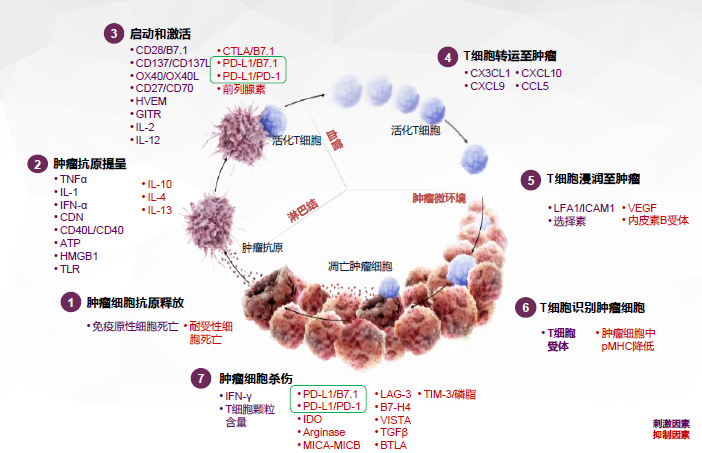 贝伐珠单抗多少钱一支_贝伐珠单抗价格_贝伐单抗和恩度对比