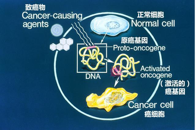 印度9291奥希替尼图片_晚期肺癌奥希替尼耐药_去哪买印度版奥希替尼