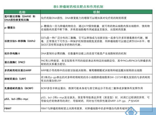 肺鳞癌靶向药_肺鳞癌可以穿靶向药奥希替尼吗_奥希替尼耐药后第四代靶向药