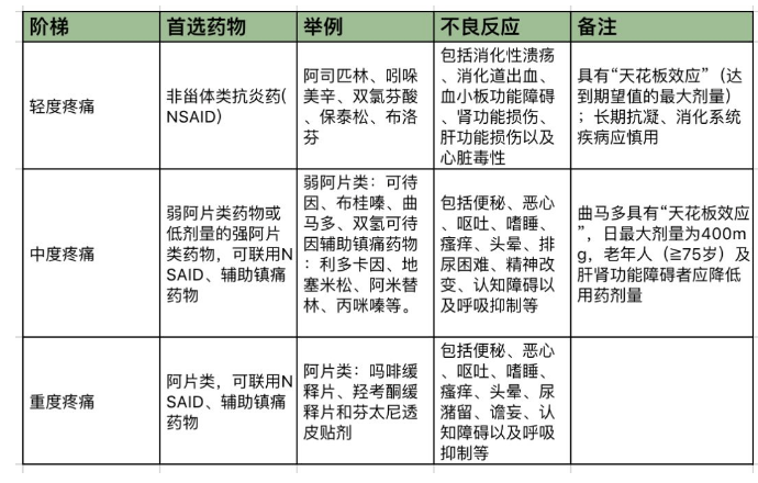 贝伐珠单抗_贝伐珠单抗说明书_帕搏利珠单抗与贝伐单抗