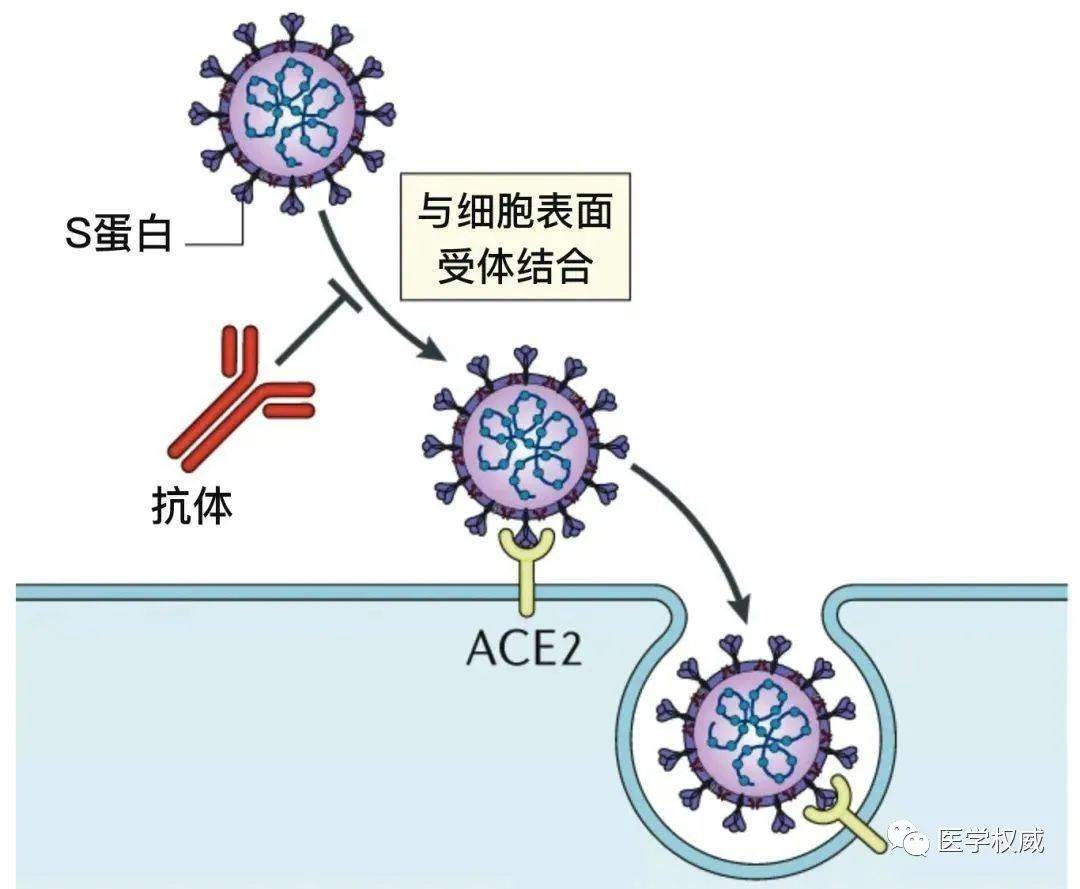 奥希替尼耐药后标准治疗_奥希替尼9291药品_印度9291奥希替尼图片