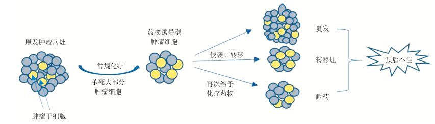 索拉非尼 肝癌_索拉非尼片_小鼠索拉非尼耐药