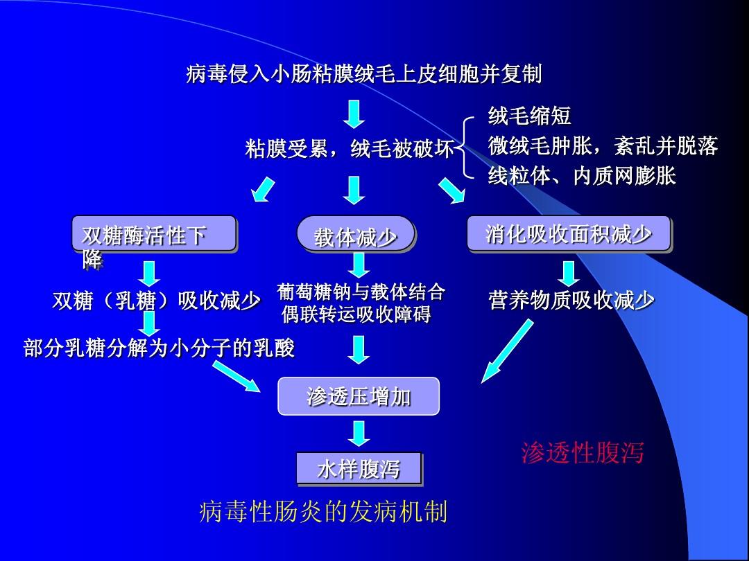 靶向药能缩小肿瘤吗_靶向药索拉非尼能减少痛苦吗_靶向药安罗替尼