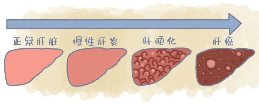 木通的功效与作用_伊匹木单抗功效与作用_木通的功效与作用及禁忌