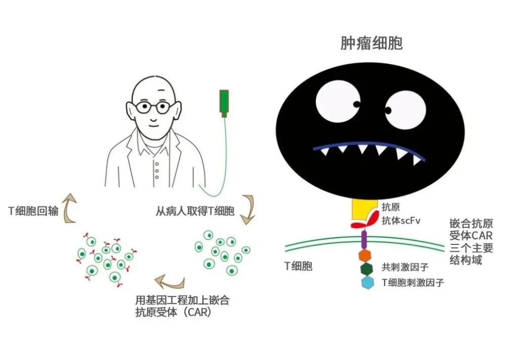 癌症术后转移_吉非替尼对癌症转移有效吗_癌症 淋巴转移