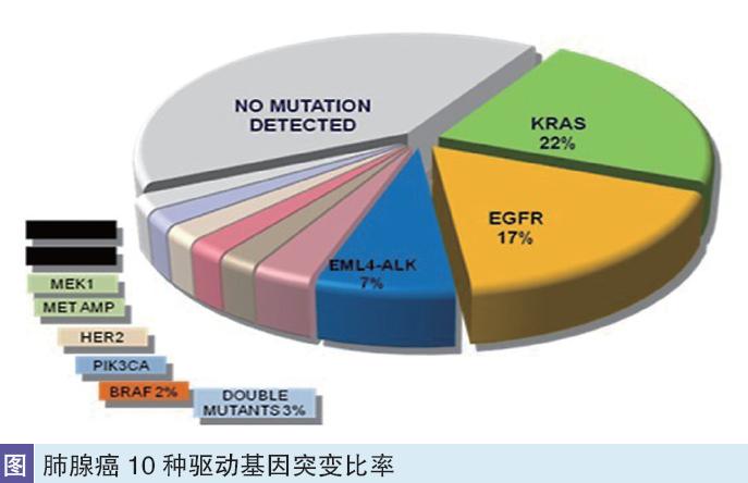 美国卫裤有什么疗效_比美替尼疗效_美常安 疗效