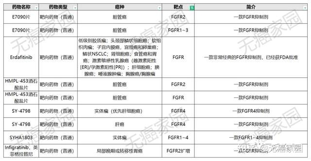 索拉非尼抑制靶点_索拉非尼与多纳非尼_索拉非尼 说明书