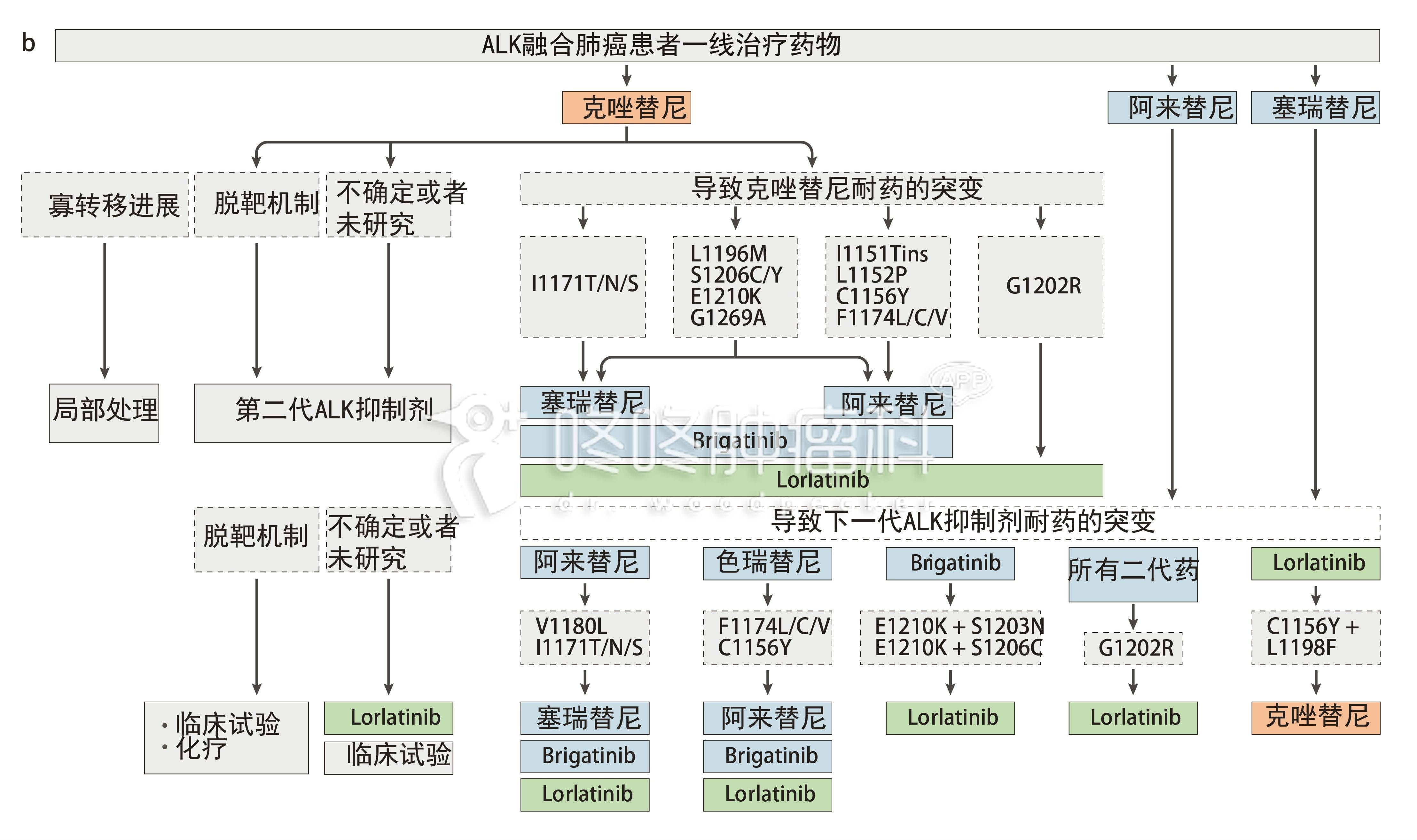 靶向药安罗替尼_曲美替尼靶向药多少钱_吉非替尼算靶向药吗