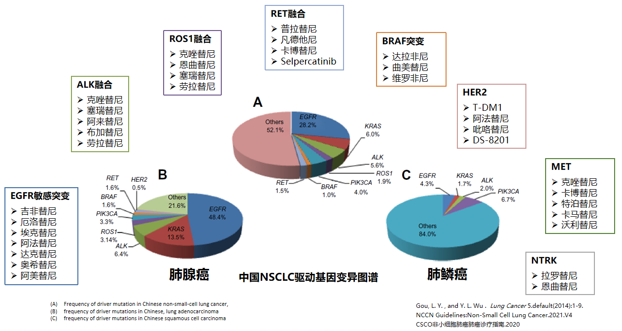 曲美替尼靶向药多少钱_吉非替尼算靶向药吗_靶向药安罗替尼