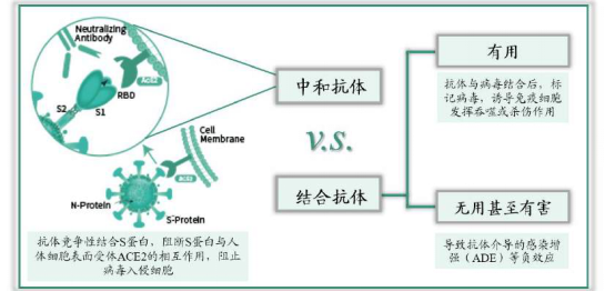 贝伐珠单抗_贝伐珠单抗4个月后赠药_贝伐单抗多久产生作用