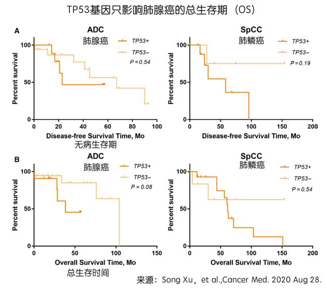 奥希替尼治疗后t790m能转阴_奥希替尼多少钱一盒_香港买奥希替尼多少钱