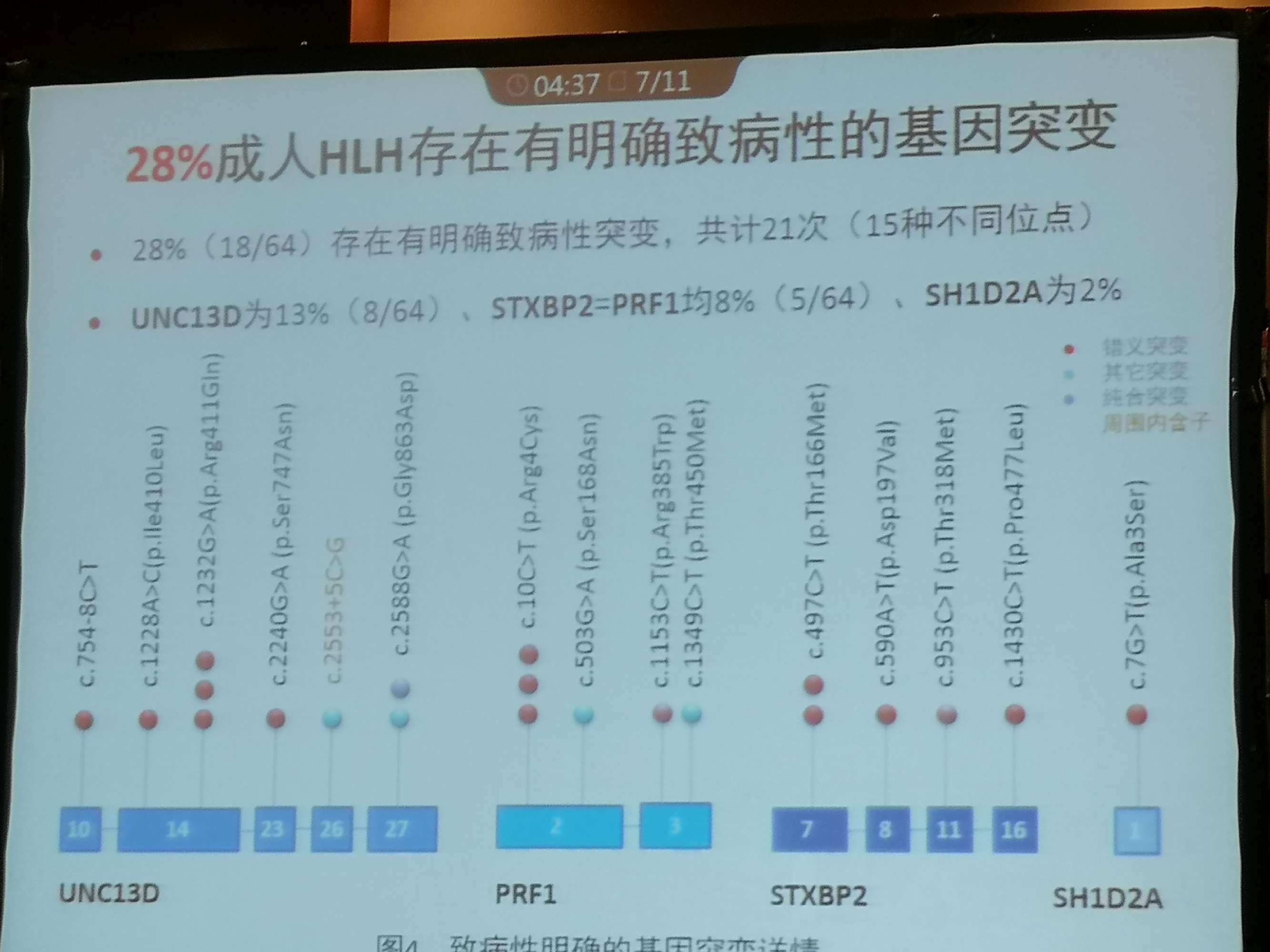 基因检测报告 突变百分比_evi1基因胚系突变_吉非替尼出现基因突变