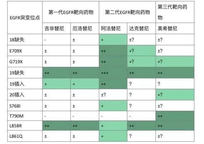 evi1基因胚系突变_基因检测报告 突变百分比_吉非替尼出现基因突变