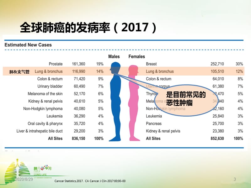 奥斯替尼和奥希替尼_egfr12代奥希替尼_奥希替尼印度版白盒