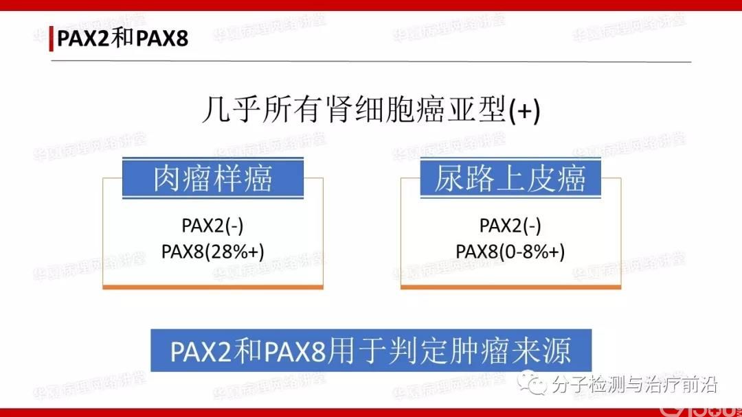 贝伐珠当单抗的用途_贝伐珠单抗的副作用_贝伐珠单抗价格