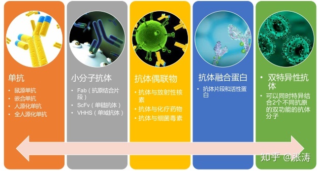 贝伐珠单抗多少钱一只_贝伐珠单抗多少钱一支_贝伐珠当单抗的用途