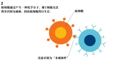 贝伐珠单抗早期肠癌术后_贝伐单抗和贝伐珠单抗_贝伐珠单抗 耐药性