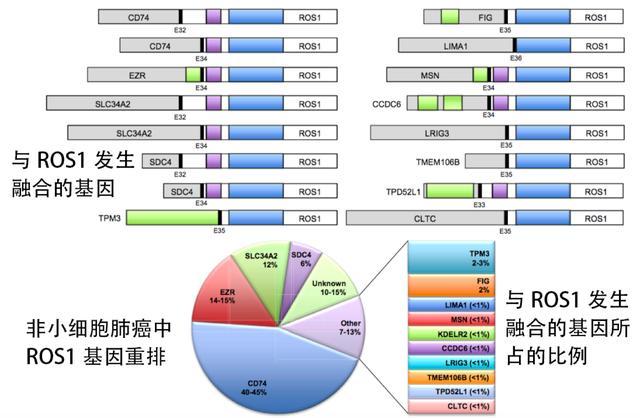 吉非替尼纵隔淋巴肿大_纵隔多发肿大淋巴结_肺磨玻璃结节 纵隔淋巴