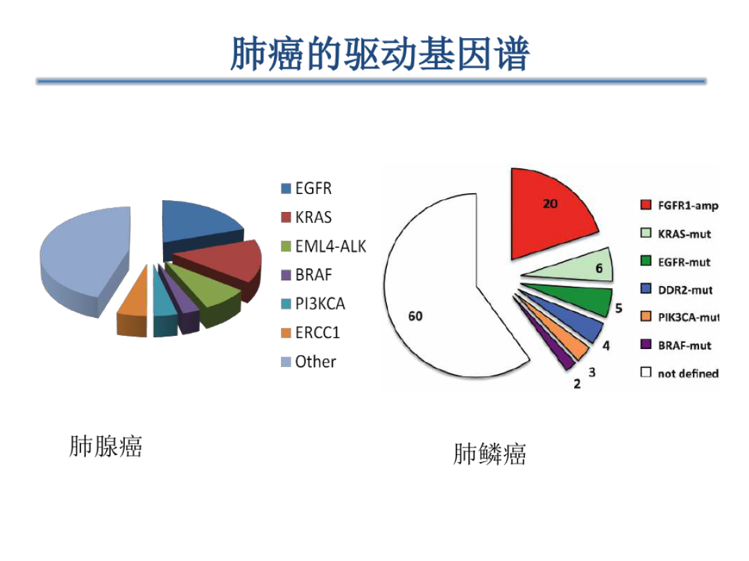 纵隔多发肿大淋巴结_吉非替尼纵隔淋巴肿大_肺磨玻璃结节 纵隔淋巴