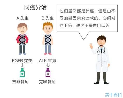 肺低分化鳞癌如何治疗_印度吉非替尼可以治疗肺鳞癌吗_不化疗怎么治疗肺鳞癌