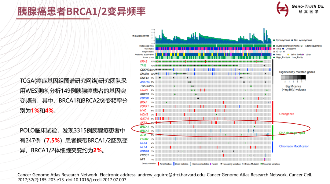 印度吉非替尼可以治疗肺鳞癌吗_肺鳞癌能用靶向治疗吗_肺鳞癌不治疗能活多久