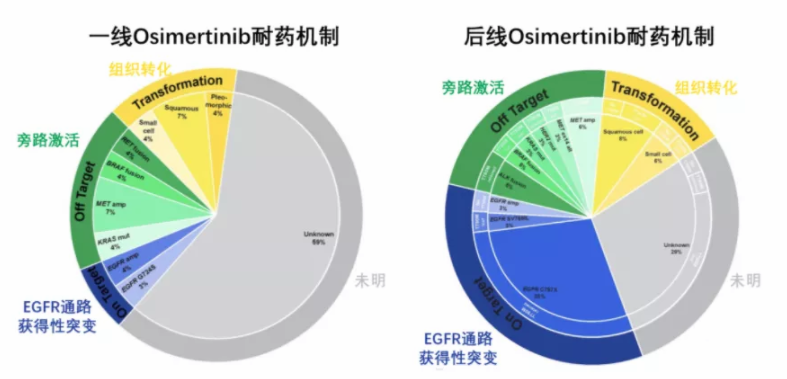 贝伐单抗引起头疼_贝伐珠单抗是化疗药吗_贝伐单抗耐药性