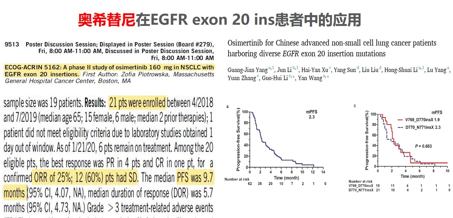 T药联合吉非替尼_免费下载绝世药神tⅩt_尼妥珠单抗联合化疗治疗胰腺癌的临床研究