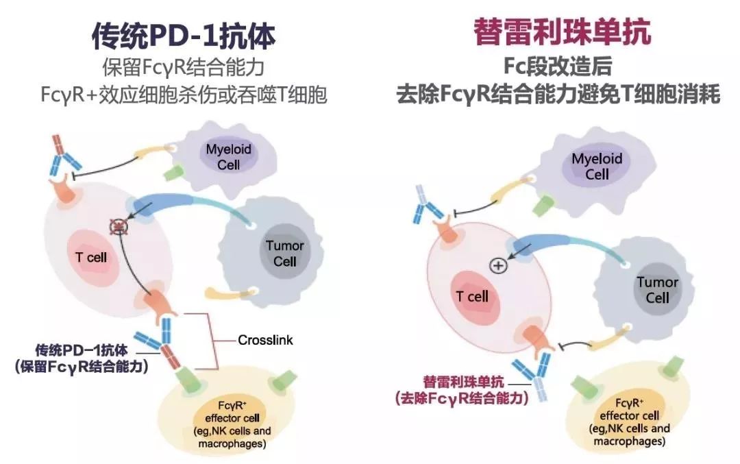 靶向藥,pd-1等藥物耐藥後的治療策略_【吉康旅】