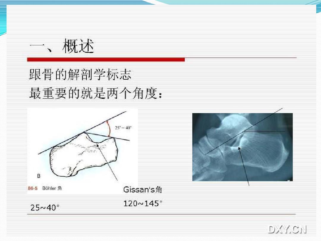 吉西他滨+替吉奥图片