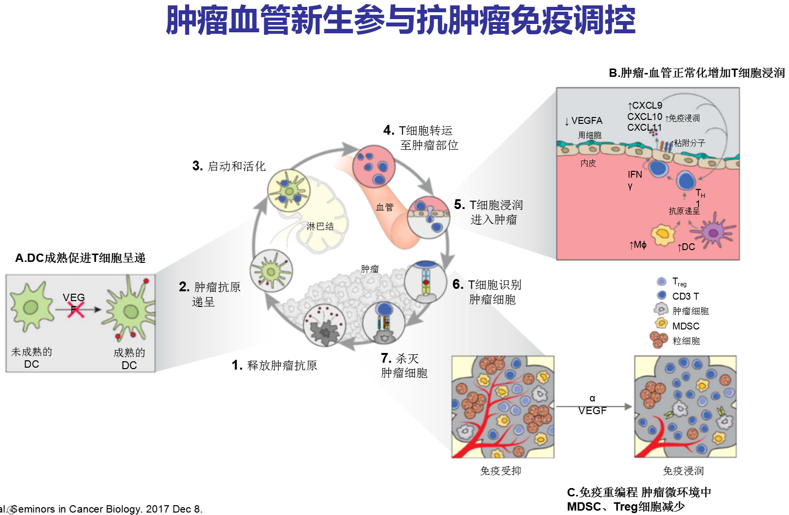 贝伐珠单抗 靶点图片